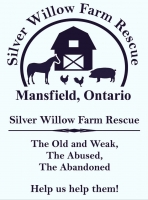 Silver Willow Farm Rescue's Logo'